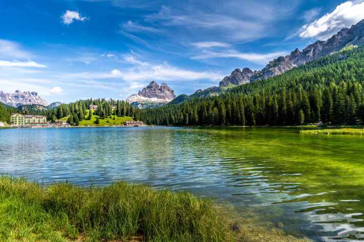 green trees near lake under blue sky